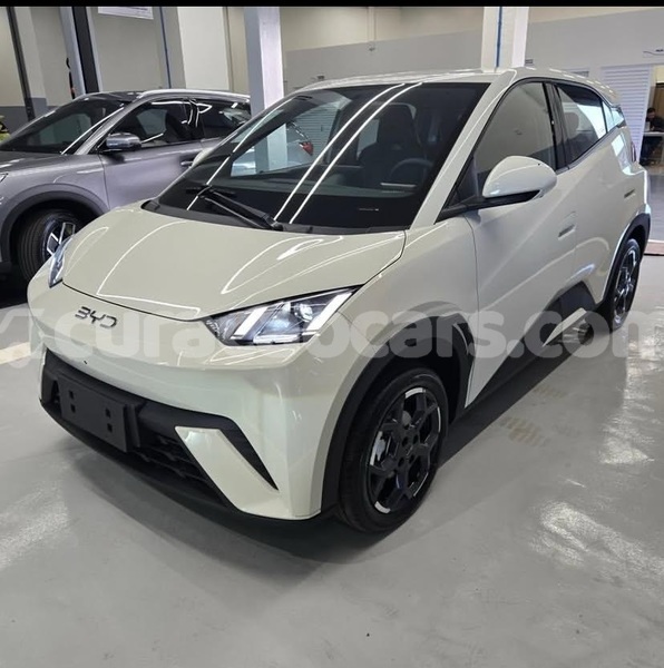 Big with watermark byd s6 curacao willemstad 4543