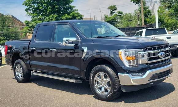 Buy Used Ford F–150 Black Car in Willemstad in Curacao