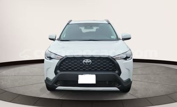 Buy Used Toyota Corolla Cross White Car in Willemstad in Curacao
