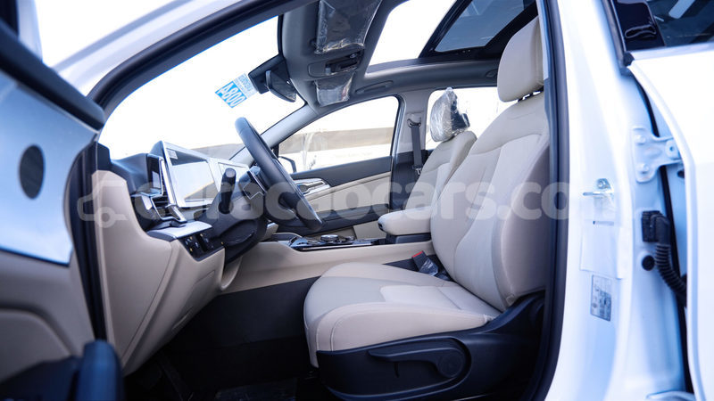 Big with watermark kia sportage curacao willemstad 4555