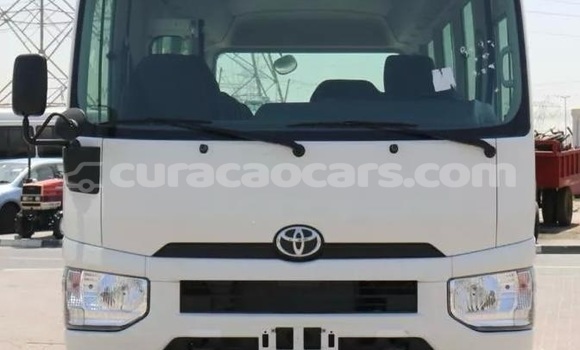 Buy Used Toyota Coaster White Car in Willemstad in Curacao