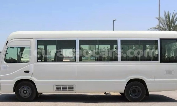 Buy Used Toyota Coaster White Car in Willemstad in Curacao Buy Used Toyota Coaster White Car in Willemstad in Curacao