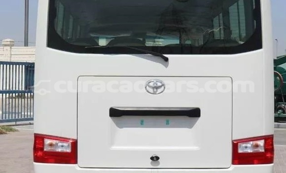 Buy Used Toyota Coaster White Car in Willemstad in Curacao Buy Used Toyota Coaster White Car in Willemstad in Curacao