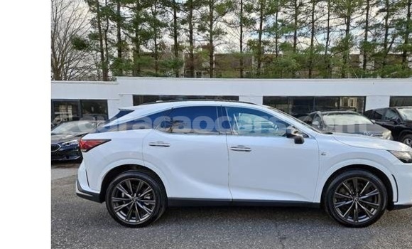Buy Used Lexus RX 350 White Car in Willemstad in Curacao Buy Used Lexus RX 350 White Car in Willemstad in Curacao