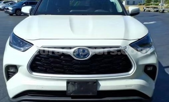 Buy Used Toyota Highlander White Car in Willemstad in Curacao