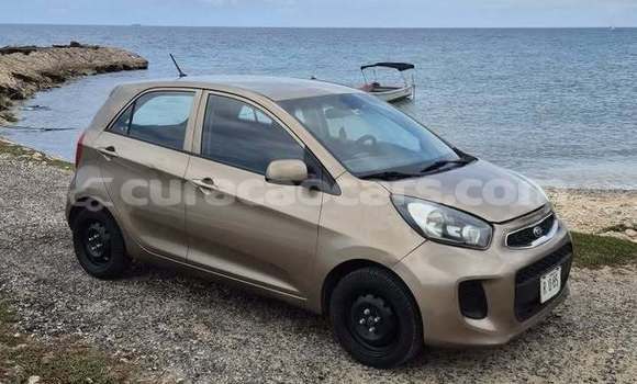 Buy Used Kia Picanto Other Car in Sint Michiel Liber in Curacao