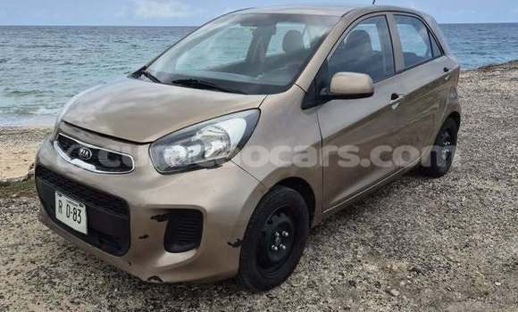Buy Used Kia Picanto Other Car in Sint Michiel Liber in Curacao Buy Used Kia Picanto Other Car in Sint Michiel Liber in Curacao