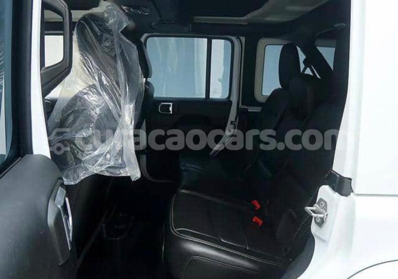 Big with watermark jeep wrangler curacao willemstad 4644
