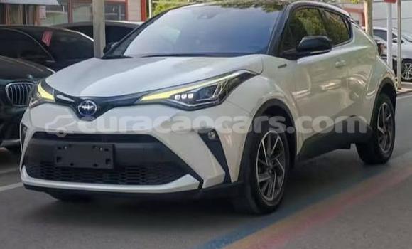 Buy Used Toyota C-HR White Car in Willemstad in Curacao