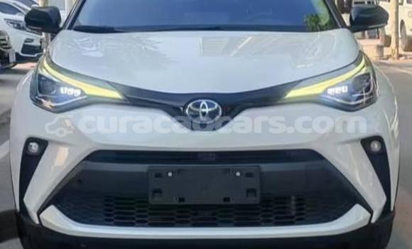 Buy Used Toyota C-HR White Car in Willemstad in Curacao Buy Used Toyota C-HR White Car in Willemstad in Curacao
