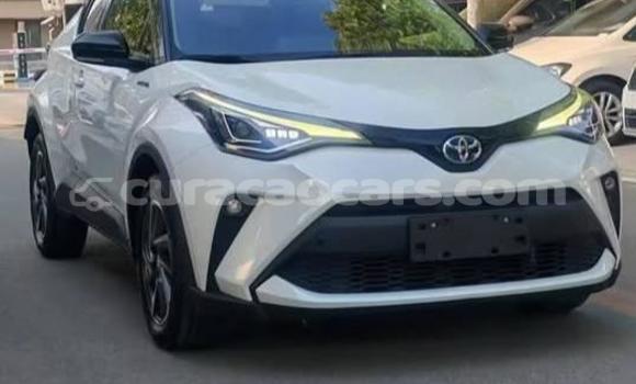Buy Used Toyota C-HR White Car in Willemstad in Curacao Buy Used Toyota C-HR White Car in Willemstad in Curacao