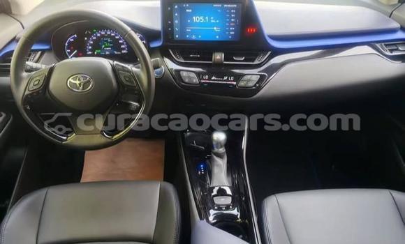 Buy Used Toyota C-HR White Car in Willemstad in Curacao Buy Used Toyota C-HR White Car in Willemstad in Curacao