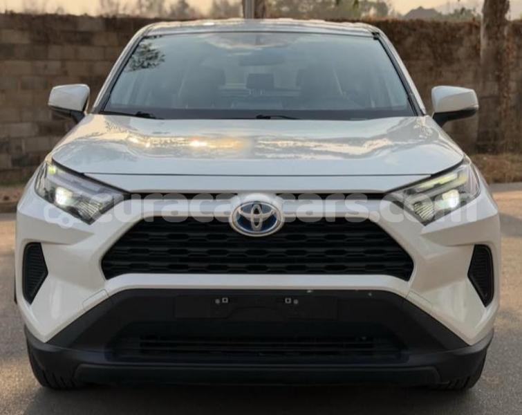 Big with watermark toyota rav4 curacao willemstad 4661