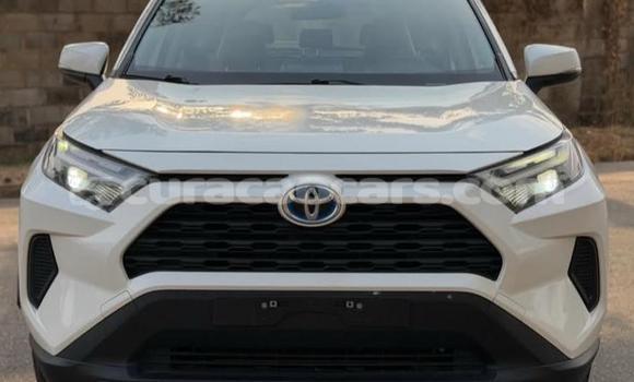 Buy Used Toyota RAV4 White Car in Willemstad in Curacao