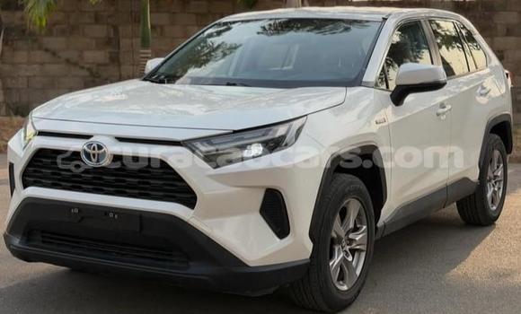 Buy Used Toyota RAV4 White Car in Willemstad in Curacao Buy Used Toyota RAV4 White Car in Willemstad in Curacao
