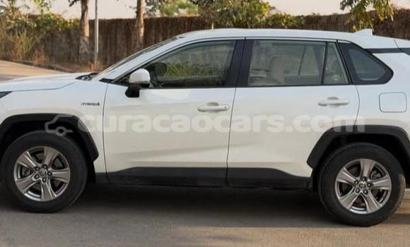 Buy Used Toyota RAV4 White Car in Willemstad in Curacao Buy Used Toyota RAV4 White Car in Willemstad in Curacao