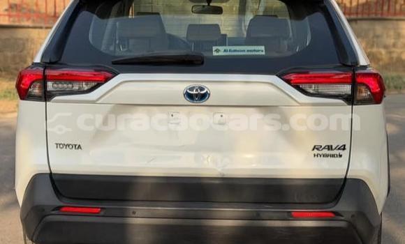 Buy Used Toyota RAV4 White Car in Willemstad in Curacao Buy Used Toyota RAV4 White Car in Willemstad in Curacao