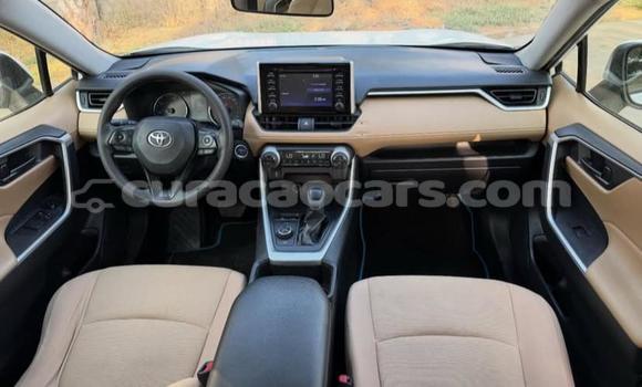 Buy Used Toyota RAV4 White Car in Willemstad in Curacao Buy Used Toyota RAV4 White Car in Willemstad in Curacao