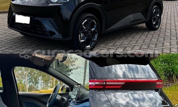 Buy Used BYD S6 Other Car in Willemstad in Curacao Buy Used BYD S6 Other Car in Willemstad in Curacao