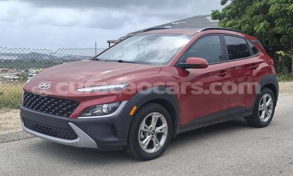 Buy Used Hyundai Kona Red Car in Lagún in Curacao