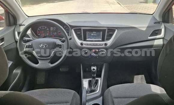Buy Used Hyundai Accent Red Car in Sint Michiel Liber in Curacao Buy Used Hyundai Accent Red Car in Sint Michiel Liber in Curacao