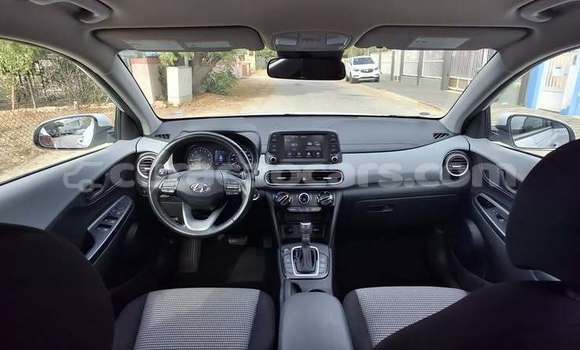Buy Used Hyundai Kona White Car in Sint Michiel Liber in Curacao Buy Used Hyundai Kona White Car in Sint Michiel Liber in Curacao