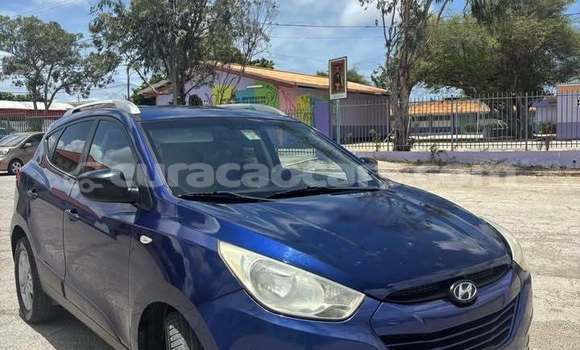 Buy Used Hyundai Tucson Blue Car in Sabana Westpunt in Curacao Buy Used Hyundai Tucson Blue Car in Sabana Westpunt in Curacao