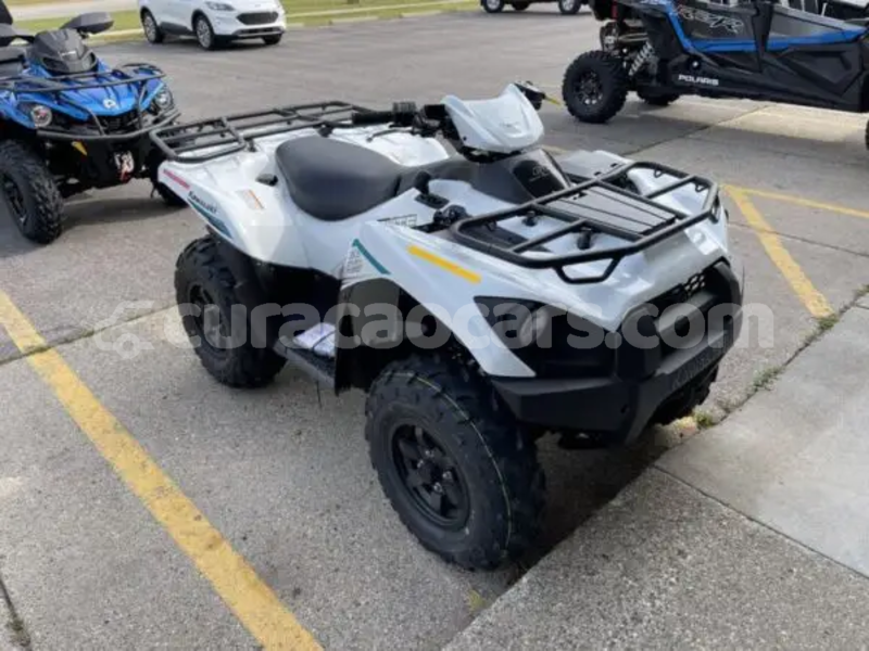 Big with watermark kawasaki brute force curacao dorp sint willebrordus 4679