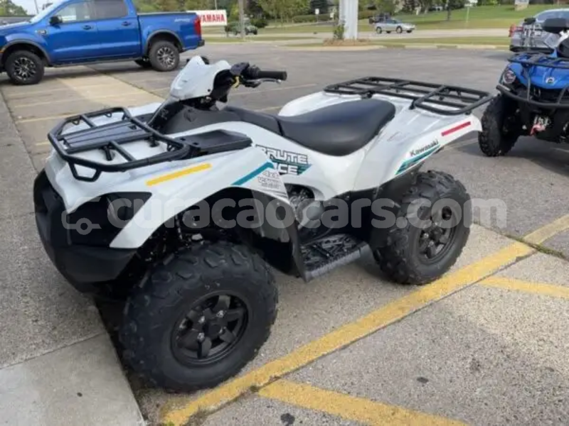 Big with watermark kawasaki brute force curacao dorp sint willebrordus 4679
