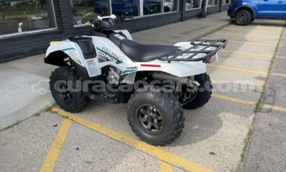 Buy New Kawasaki Brute Force White Bike in Dorp Sint Willebrordus in Curacao Buy New Kawasaki Brute Force White Bike in Dorp Sint Willebrordus in Curacao