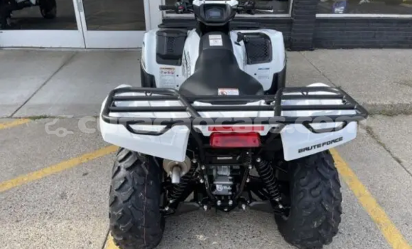 Buy New Kawasaki Brute Force White Bike in Dorp Sint Willebrordus in Curacao Buy New Kawasaki Brute Force White Bike in Dorp Sint Willebrordus in Curacao