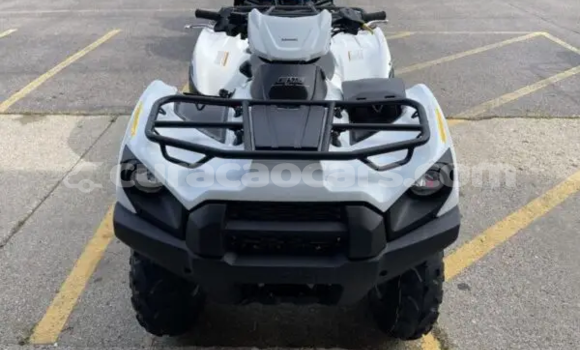 Buy New Kawasaki Brute Force White Bike in Dorp Sint Willebrordus in Curacao Buy New Kawasaki Brute Force White Bike in Dorp Sint Willebrordus in Curacao