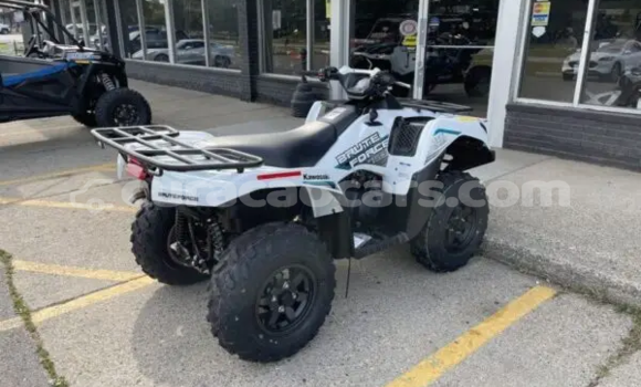 Buy New Kawasaki Brute Force White Bike in Dorp Sint Willebrordus in Curacao Buy New Kawasaki Brute Force White Bike in Dorp Sint Willebrordus in Curacao