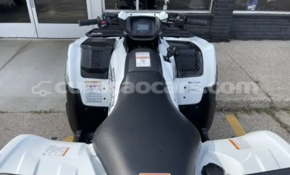 Buy New Kawasaki Brute Force White Bike in Dorp Sint Willebrordus in Curacao Buy New Kawasaki Brute Force White Bike in Dorp Sint Willebrordus in Curacao