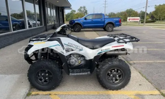 Buy New Kawasaki Brute Force White Bike in Dorp Sint Willebrordus in Curacao Buy New Kawasaki Brute Force White Bike in Dorp Sint Willebrordus in Curacao