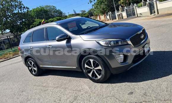 Buy Used Kia Sorento Other Car in Sint Michiel Liber in Curacao