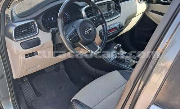Buy Used Kia Sorento Other Car in Sint Michiel Liber in Curacao Buy Used Kia Sorento Other Car in Sint Michiel Liber in Curacao