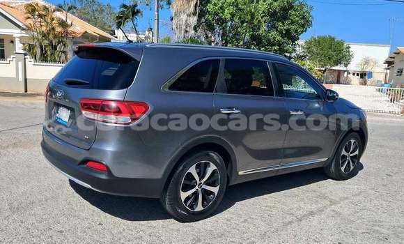 Buy Used Kia Sorento Other Car in Sint Michiel Liber in Curacao Buy Used Kia Sorento Other Car in Sint Michiel Liber in Curacao