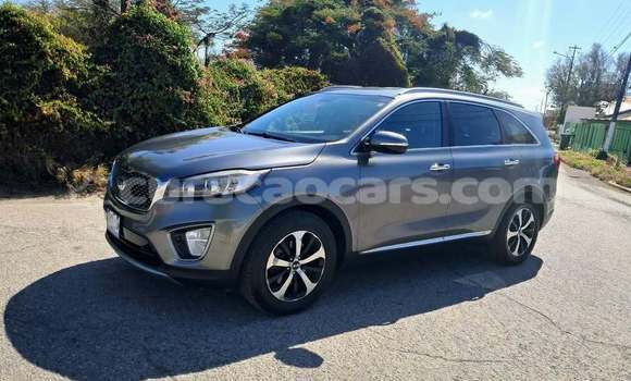Buy Used Kia Sorento Other Car in Sint Michiel Liber in Curacao Buy Used Kia Sorento Other Car in Sint Michiel Liber in Curacao