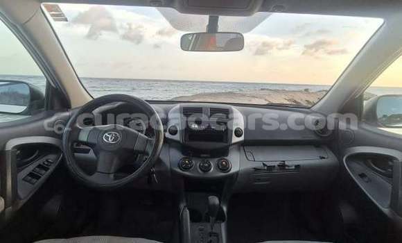 Buy Used Toyota RAV4 White Car in Dorp Soto in Curacao Buy Used Toyota RAV4 White Car in Dorp Soto in Curacao