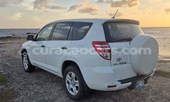 Buy Used Toyota RAV4 White Car in Dorp Soto in Curacao Buy Used Toyota RAV4 White Car in Dorp Soto in Curacao