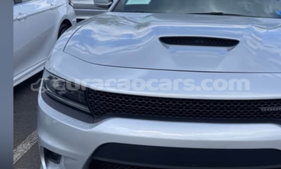 Buy Used Dodge Challenger Silver Car in Dorp Sint Willebrordus in Curacao
