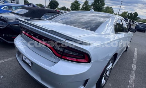 Buy Used Dodge Challenger Silver Car in Dorp Sint Willebrordus in Curacao Buy Used Dodge Challenger Silver Car in Dorp Sint Willebrordus in Curacao