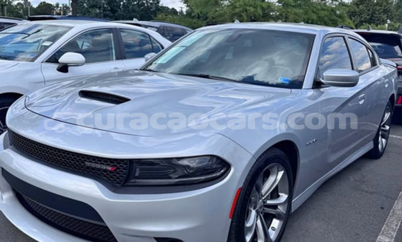 Buy Used Dodge Challenger Silver Car in Dorp Sint Willebrordus in Curacao Buy Used Dodge Challenger Silver Car in Dorp Sint Willebrordus in Curacao
