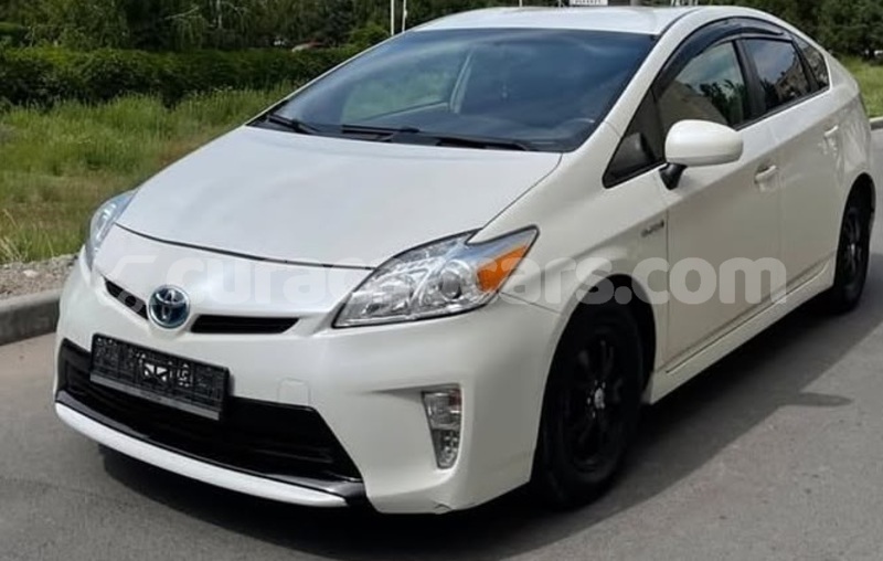 Big with watermark toyota prius curacao willemstad 4727