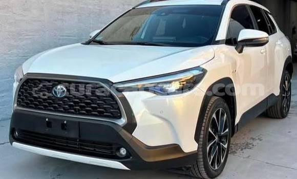 Buy Used Toyota Corolla Cross White Car in Willemstad in Curacao