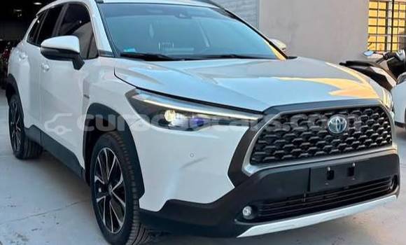 Buy Used Toyota Corolla Cross White Car in Willemstad in Curacao Buy Used Toyota Corolla Cross White Car in Willemstad in Curacao