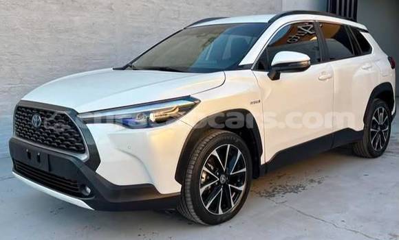 Buy Used Toyota Corolla Cross White Car in Willemstad in Curacao Buy Used Toyota Corolla Cross White Car in Willemstad in Curacao
