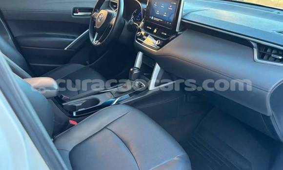 Buy Used Toyota Corolla Cross White Car in Willemstad in Curacao Buy Used Toyota Corolla Cross White Car in Willemstad in Curacao