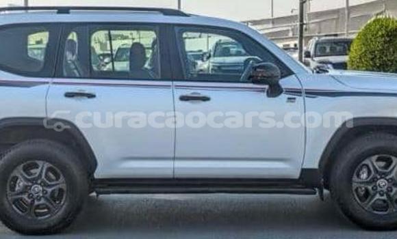 Buy Used Toyota Land Cruiser White Car in Willemstad in Curacao Buy Used Toyota Land Cruiser White Car in Willemstad in Curacao